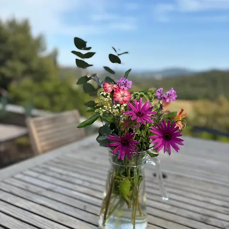 Résidence Du Ciel Bleu Bormes-les-Mimosas